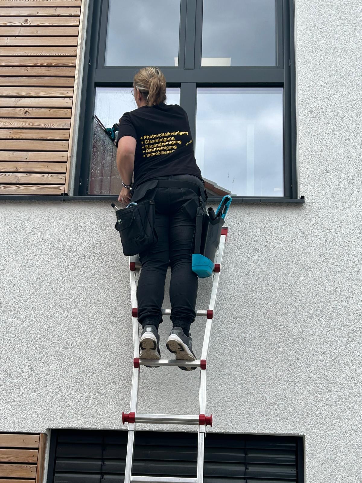 Fensterreinigung mit Leiter
